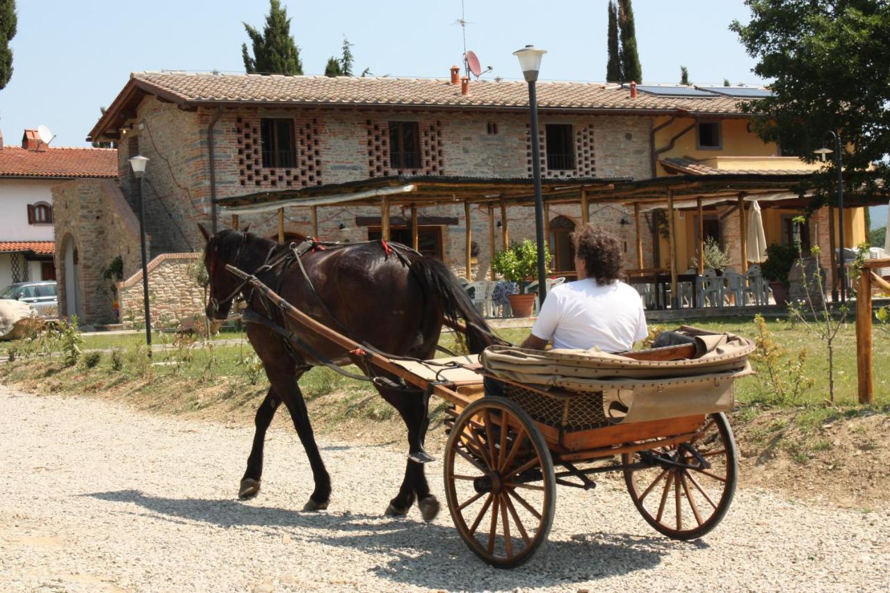 Villa Agriturismo La Colombaia à Vicchio Extérieur photo