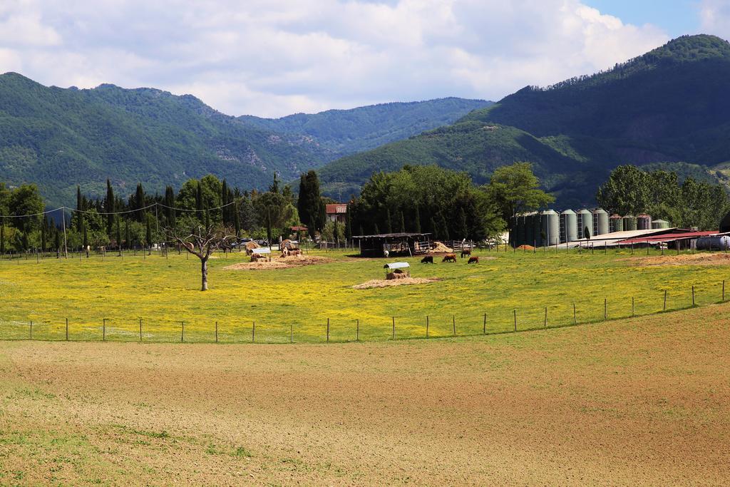 Villa Agriturismo La Colombaia à Vicchio Extérieur photo