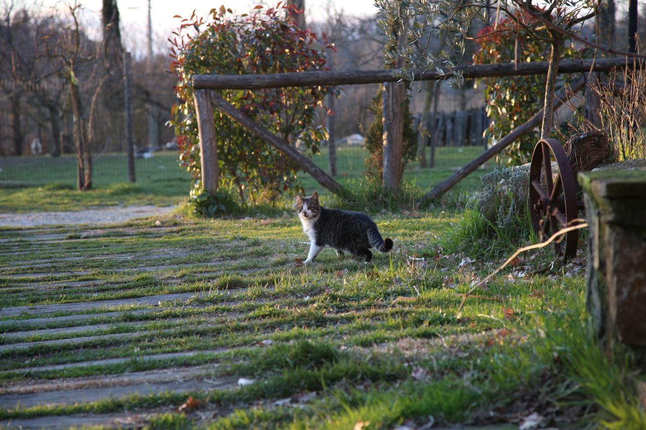 Villa Agriturismo La Colombaia à Vicchio Extérieur photo
