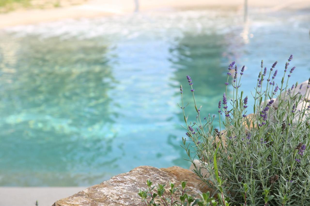 Villa Agriturismo La Colombaia à Vicchio Extérieur photo